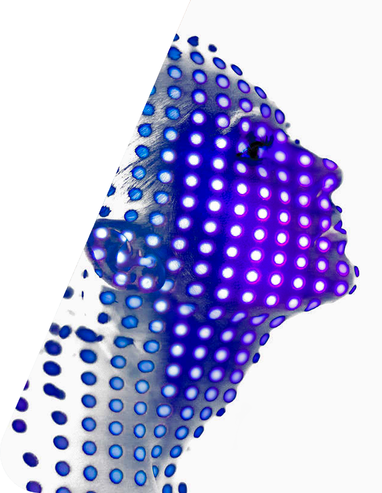 Tvorba webových stránek